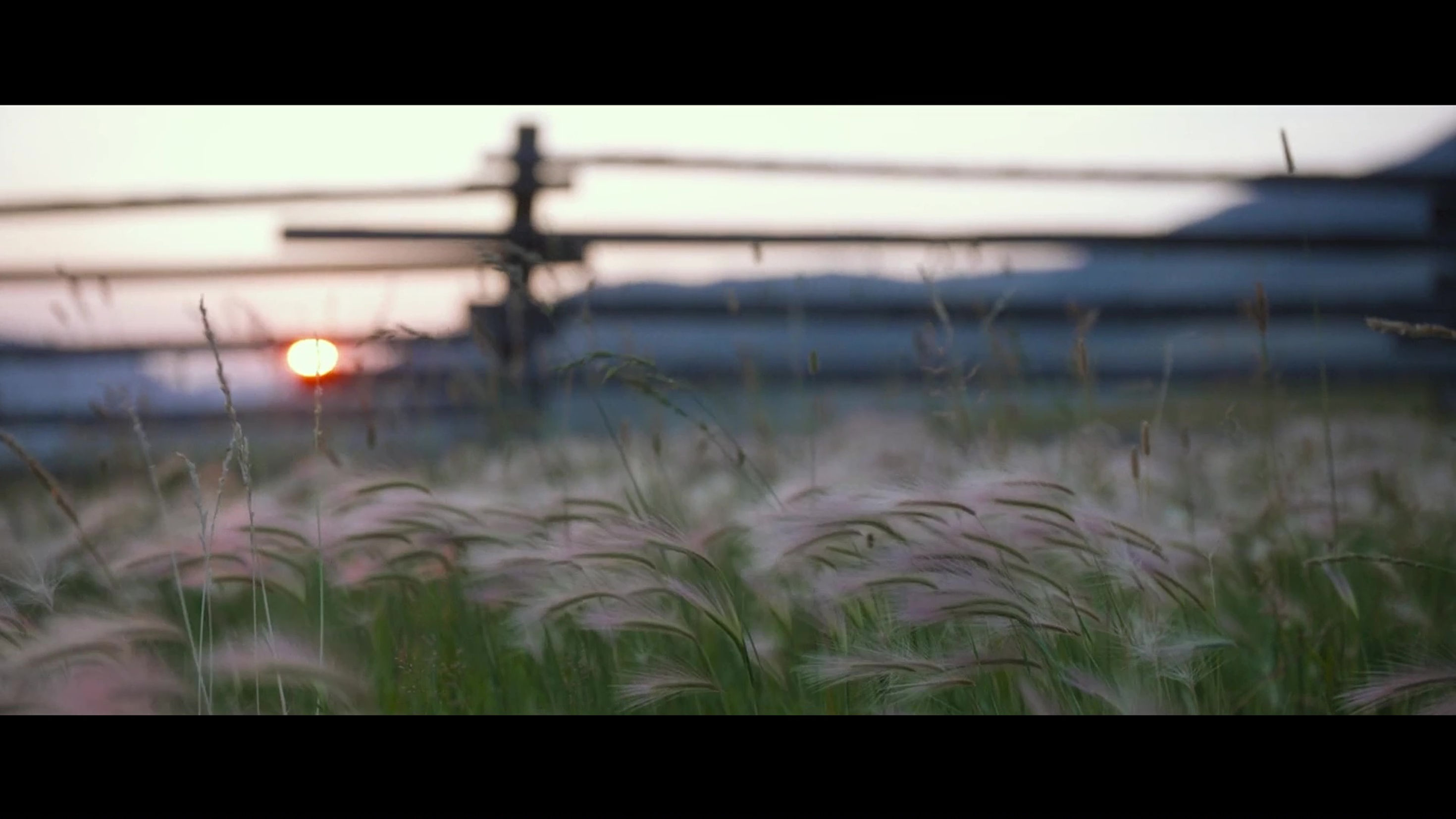 Cinematography / Camera Op Reel